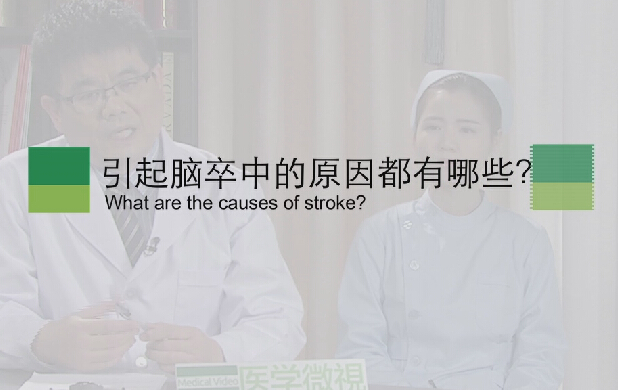 【脑卒中专题】引起脑卒中的原因都有哪些？？？？？？