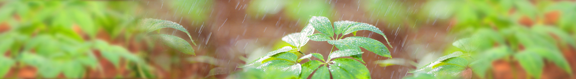 9888拉斯维加斯(集团)有限公司官网